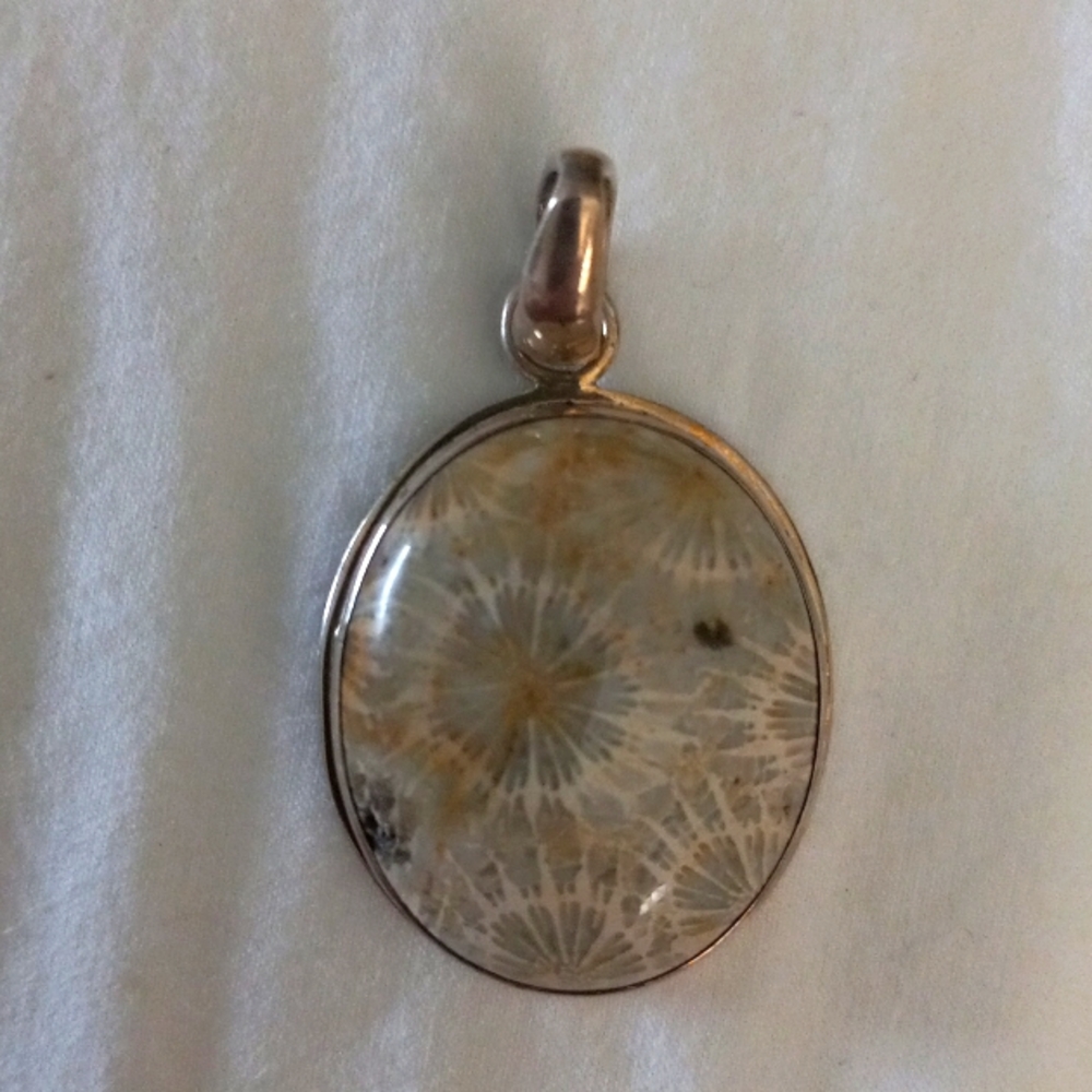 Fossilized Coral Pendent set in sterling silver